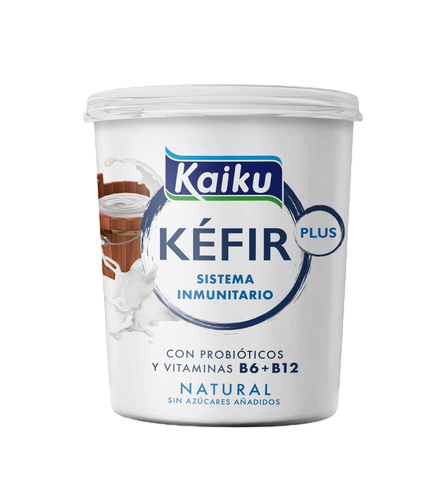 KÉFIR NATURAL 350G