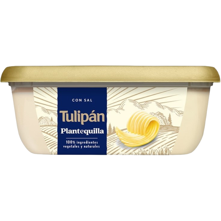 PLANTEQUILLA CON SAL 200G