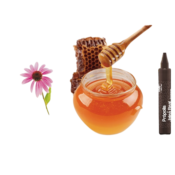 PROPOLIS JALEA EQUINACEA 12X10ML