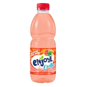 REFRESCO S/GAS EXOTIC 1L