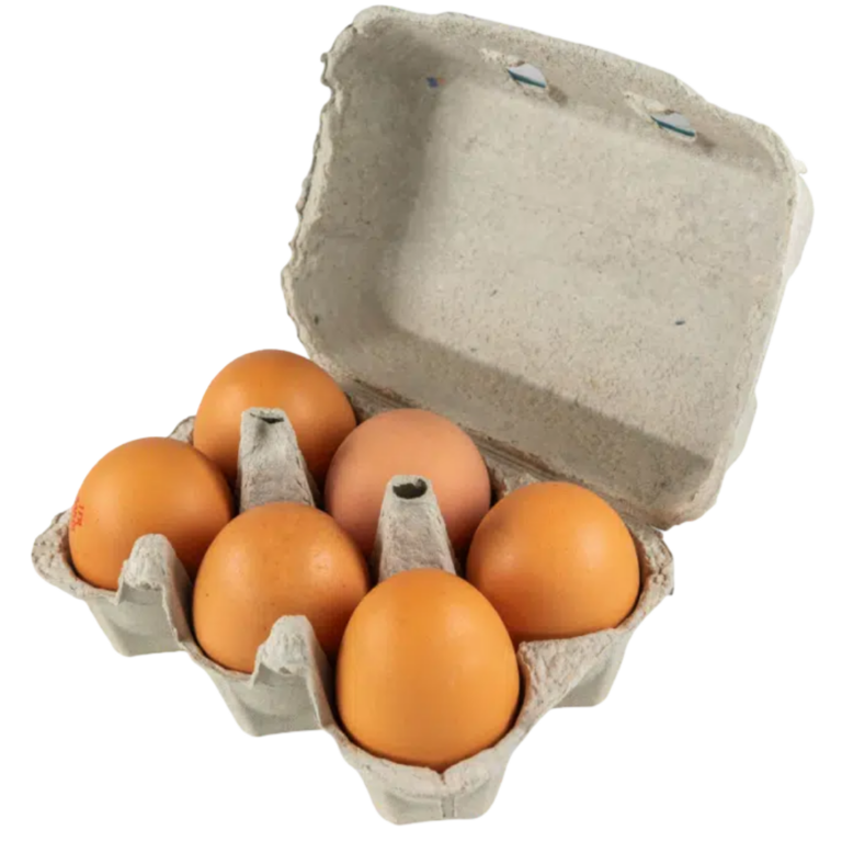 HUEVO CAMPERO  6 UD