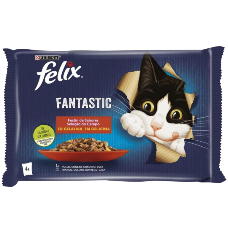 FANTASTICS CARNES/PESCADOS 4X85G